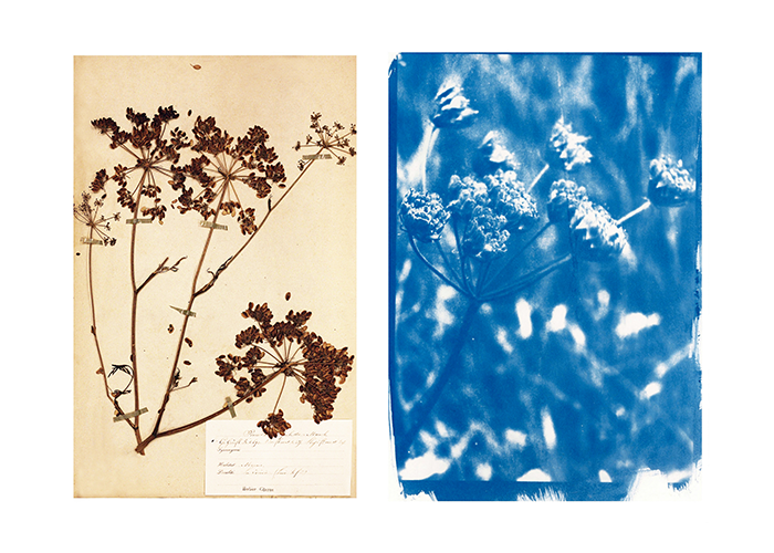 Exposition de Carole Renard 2